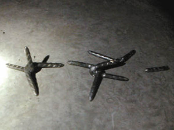 海宁铁蒺藜图片2