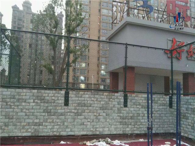 安徽皖西当代运动场围网工程图片5